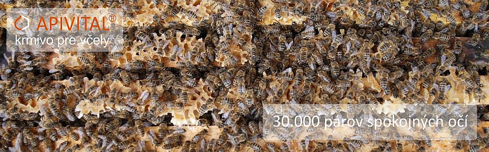 APIVITAL® sirup - krmivo pro včely, které je zaručeně čisté, bezpečné, levné a pohodlné jak pro včely, tak pro včelaře