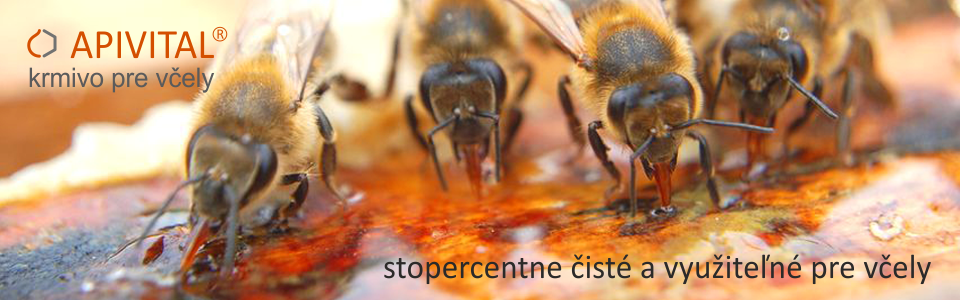 APIVITAL® sirup - vyvinuly jsme krmivo pro včely, které je zaručeně čisté, bezpečné, levné a včelami stoprocentně využitelné